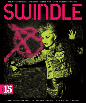 swindle15web