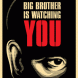 Big Brother Is Watching