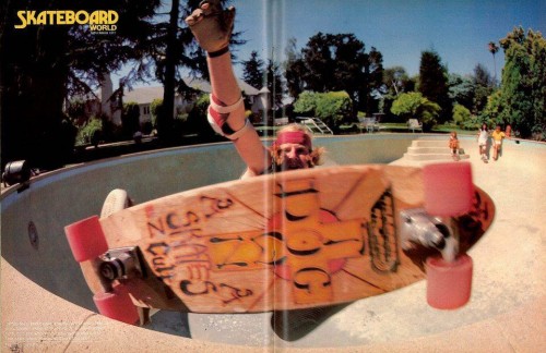 SkateBoardWorldCenterFold